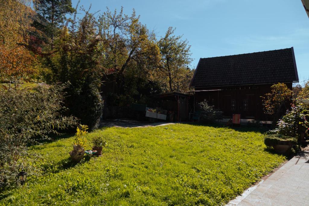 Zahrada ubytování Apartment "Johana"