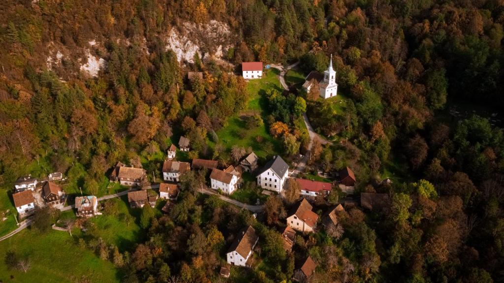 Příroda nedaleko apartmánu