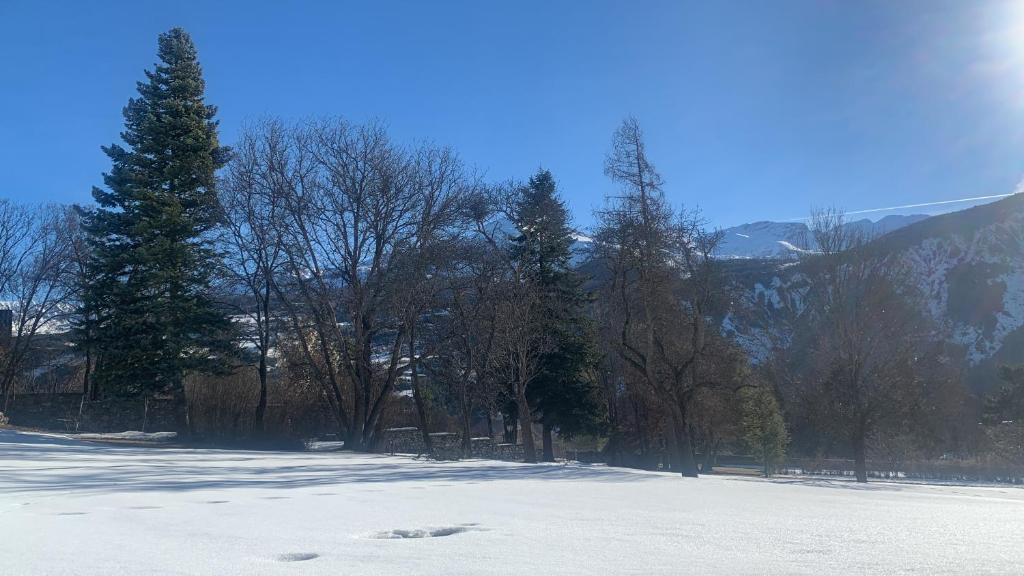 Priroda u blizini apartmana