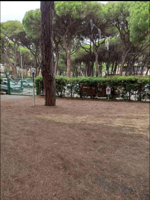 A garden outside Appartamento mare e pineta
