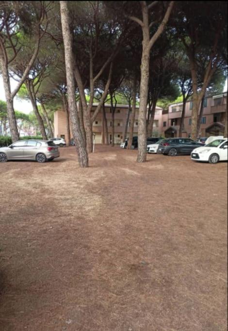 Kép Appartamento mare e pineta szállásáról Marina di Grossetóban a galériában