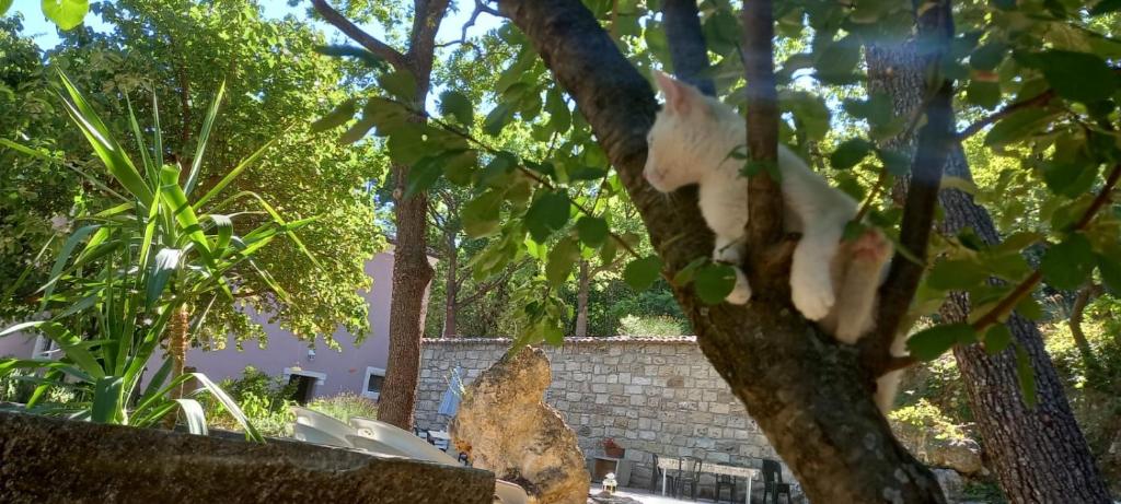 Ogród w obiekcie azienda agrituristica la torretta