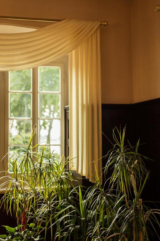 Zahrada ubytování Hotel Leyscher Hof