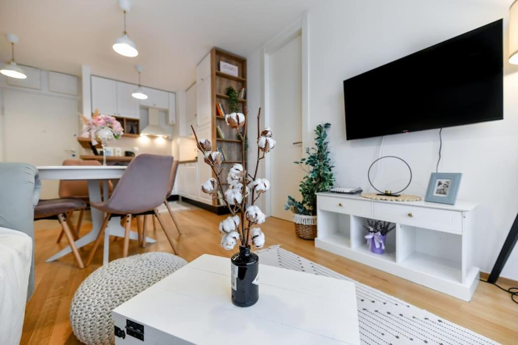 Televízia a/alebo spoločenská miestnosť v ubytovaní Lea Boutique Apartment
