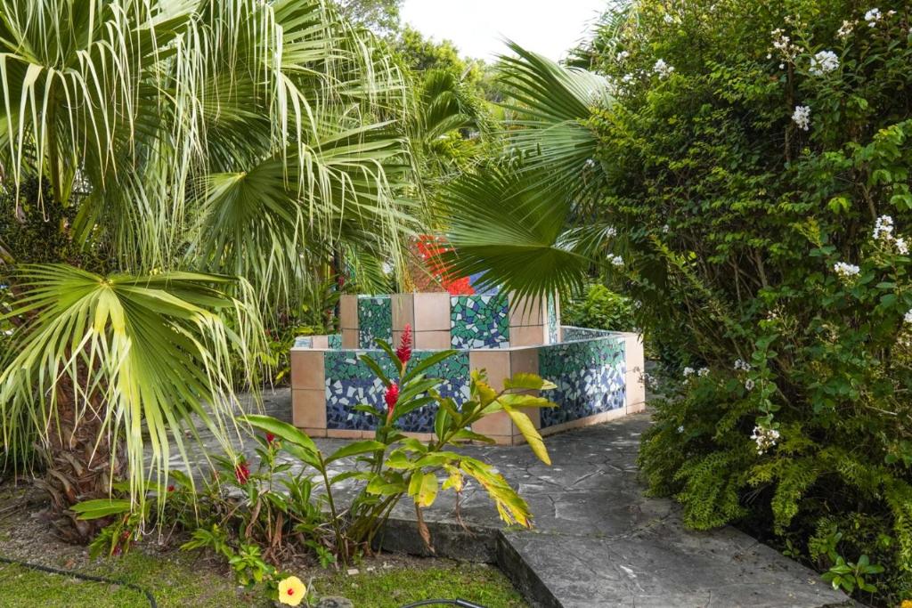 Zahrada ubytování Color Garden - Studio Martinique