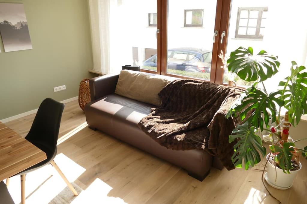 un sofá de cuero en una sala de estar con una planta en Momberg-Lodge, en Oberthal