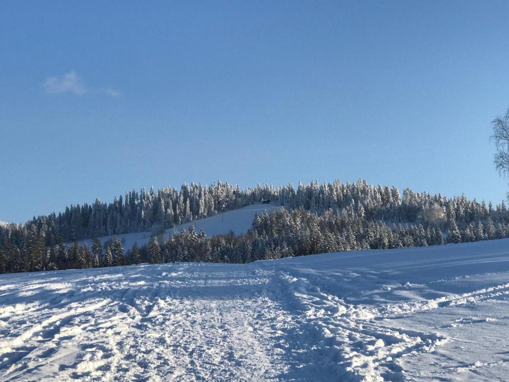 Príroda v okolí apartmánu