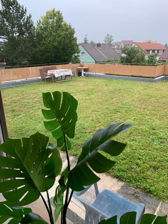 vistas a un patio con una mesa y una planta en Ruhige sonnige Wohnung mit Rooftopterrasse nahe Universität, en Gerbrunn