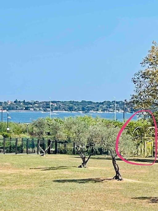 Fotografia z galérie ubytovania Riviera’s Soul v destinácii Antibes