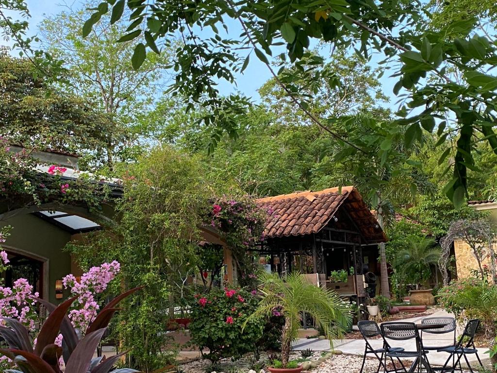Zahrada ubytování Casas del Toro Playa Flamingo