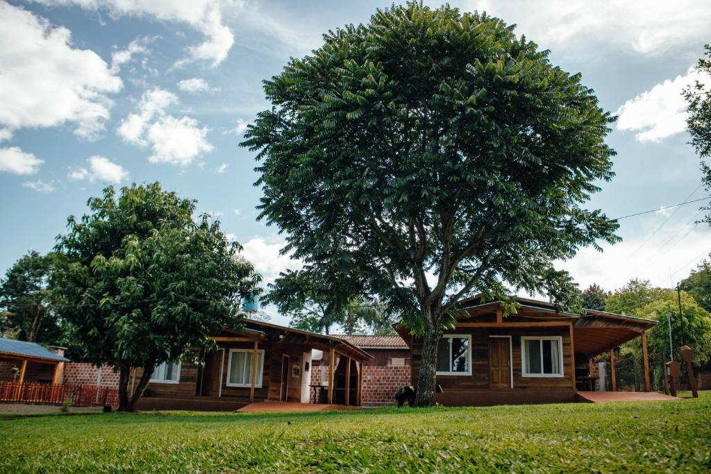 ein Haus mit einem Baum davor in der Unterkunft CABAÑAS LA AMISTAD in Puerto Iguazú