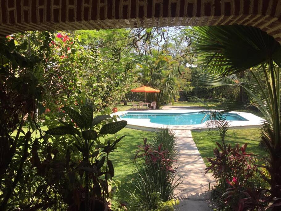 Blick auf den Pool im Garten in der Unterkunft Quinta campestre Amor Secreto. Alojamiento entero en renta in Temixco