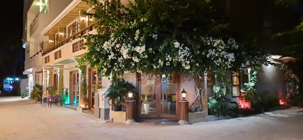 a building with a tree in front of a street at Maladiwa Beach & Spa in Maafushi