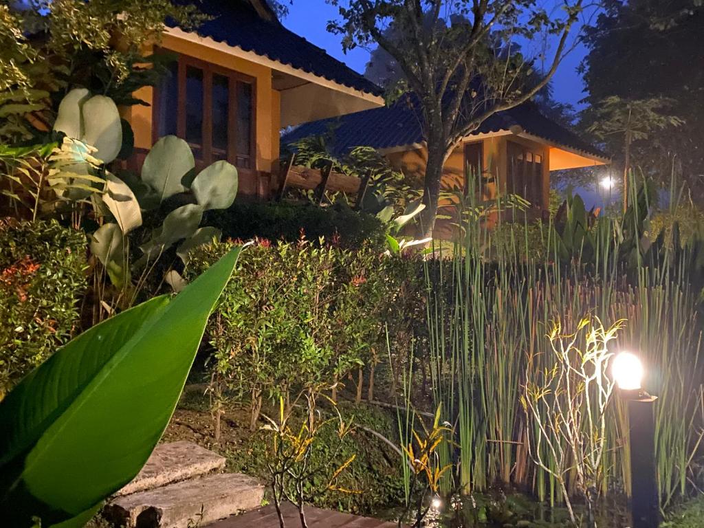 Pura Vida Pai Resort - 12