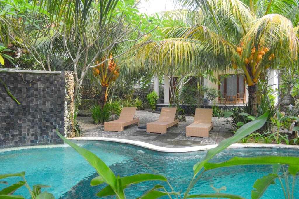 a backyard with a pool and chairs and trees at Tarzan Marriott On Penida in Nusa Penida