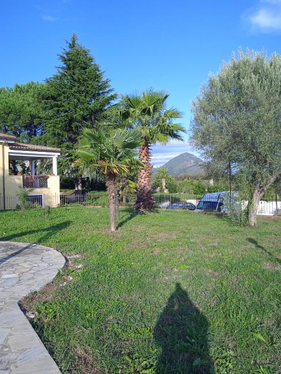 A garden outside Villa Rosanna