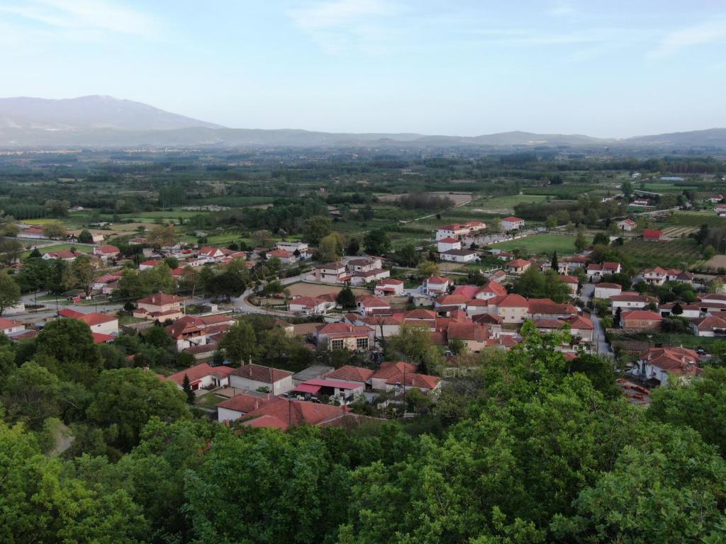 Táj Show holiday homes közelében