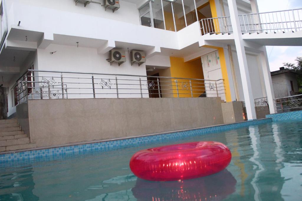 a red frisbee in a swimming pool at White Coral in Port Blair
