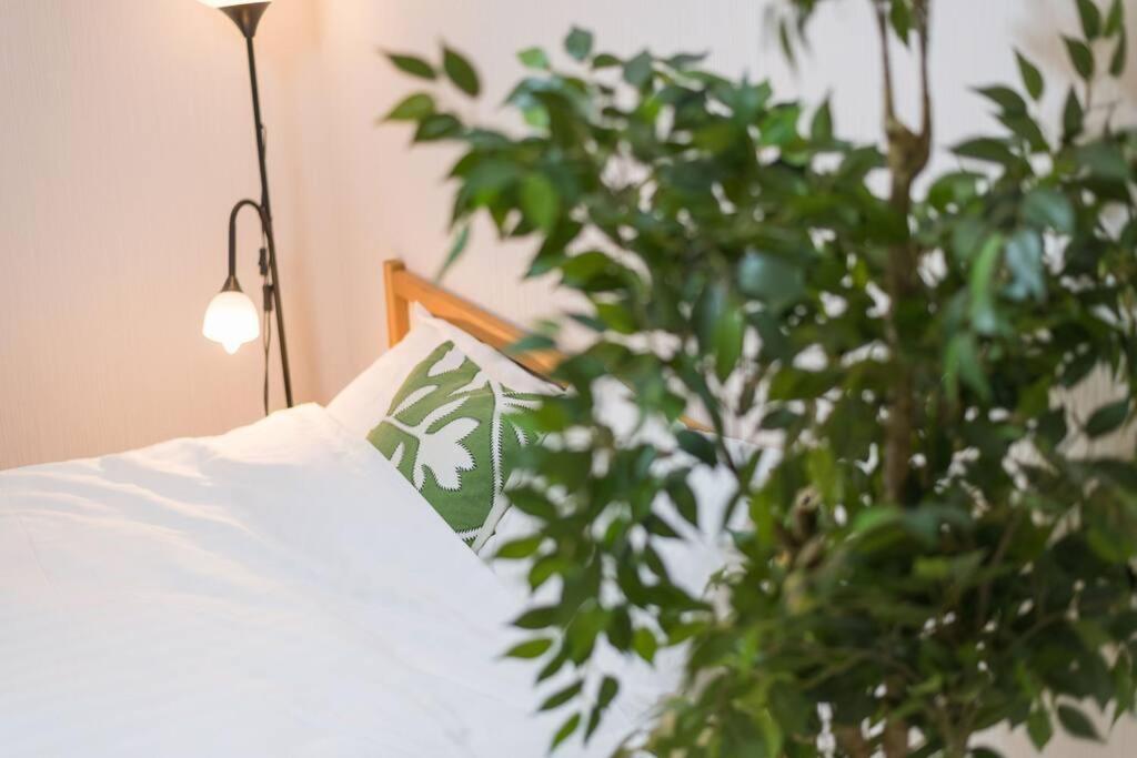 Bett mit Kissen neben einer Pflanze in der Unterkunft 難波南34 in Osaka