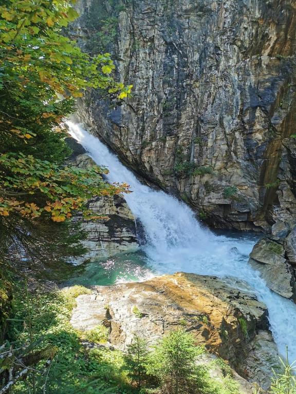 Príroda v okolí apartmánu