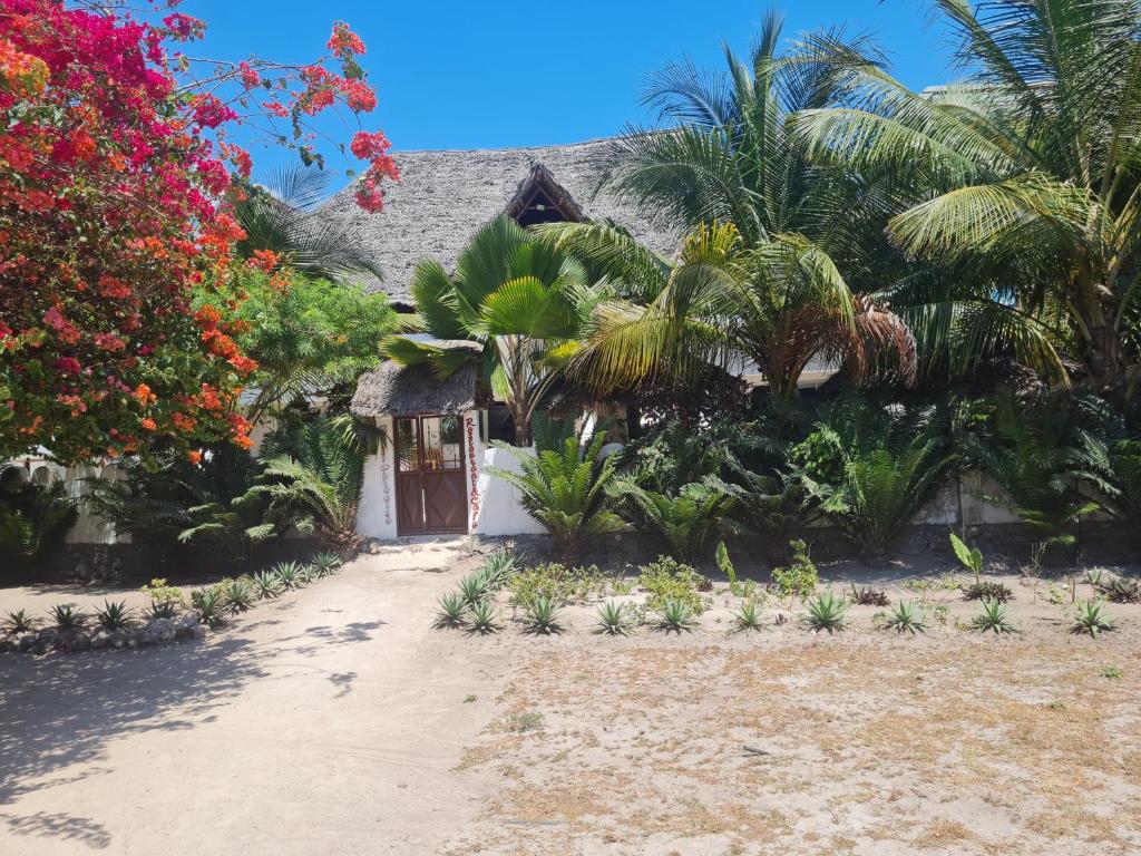 Zahrada ubytování Beachfront Villa Ladha ya Zanzibar