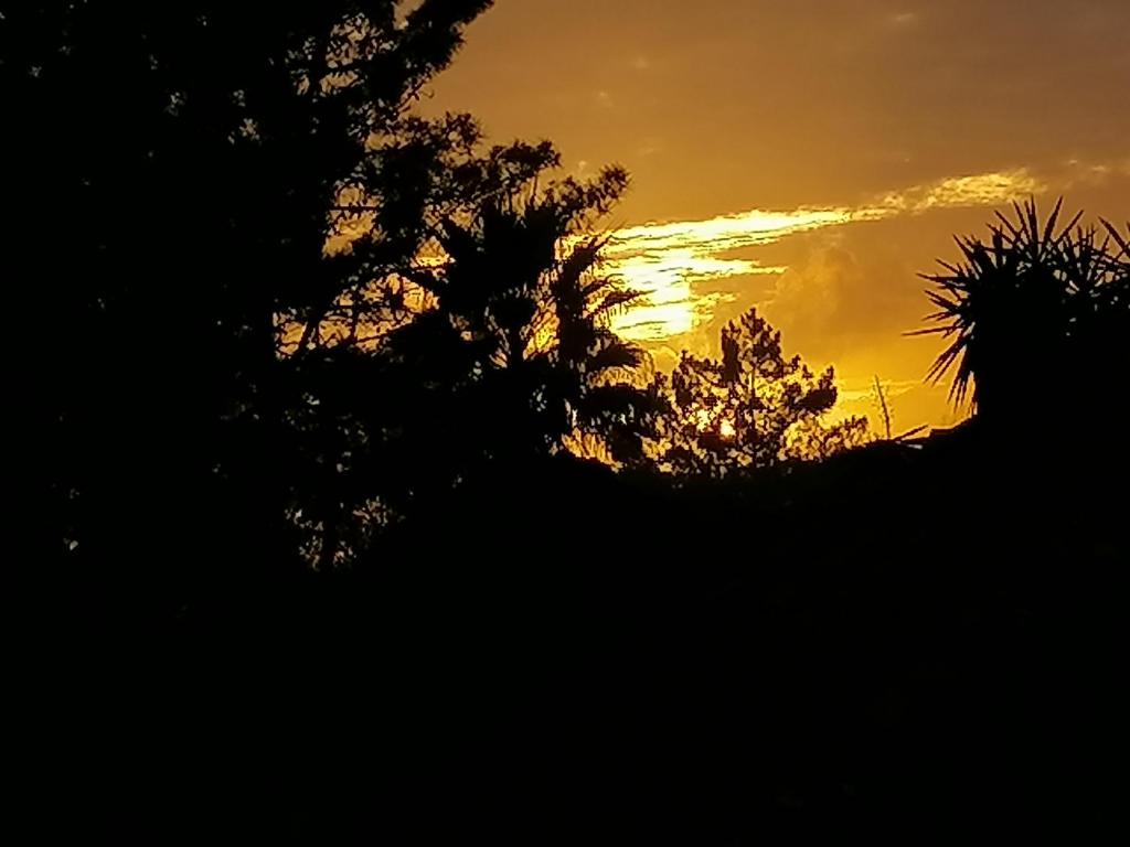 una imagen de una puesta de sol con árboles en primer plano en Lar Dos Guerreiros, en Vila Nova de Milfontes