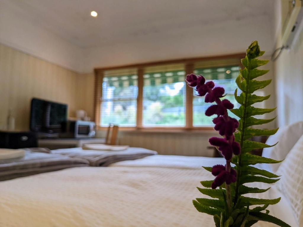 Cosyrooms - Housity