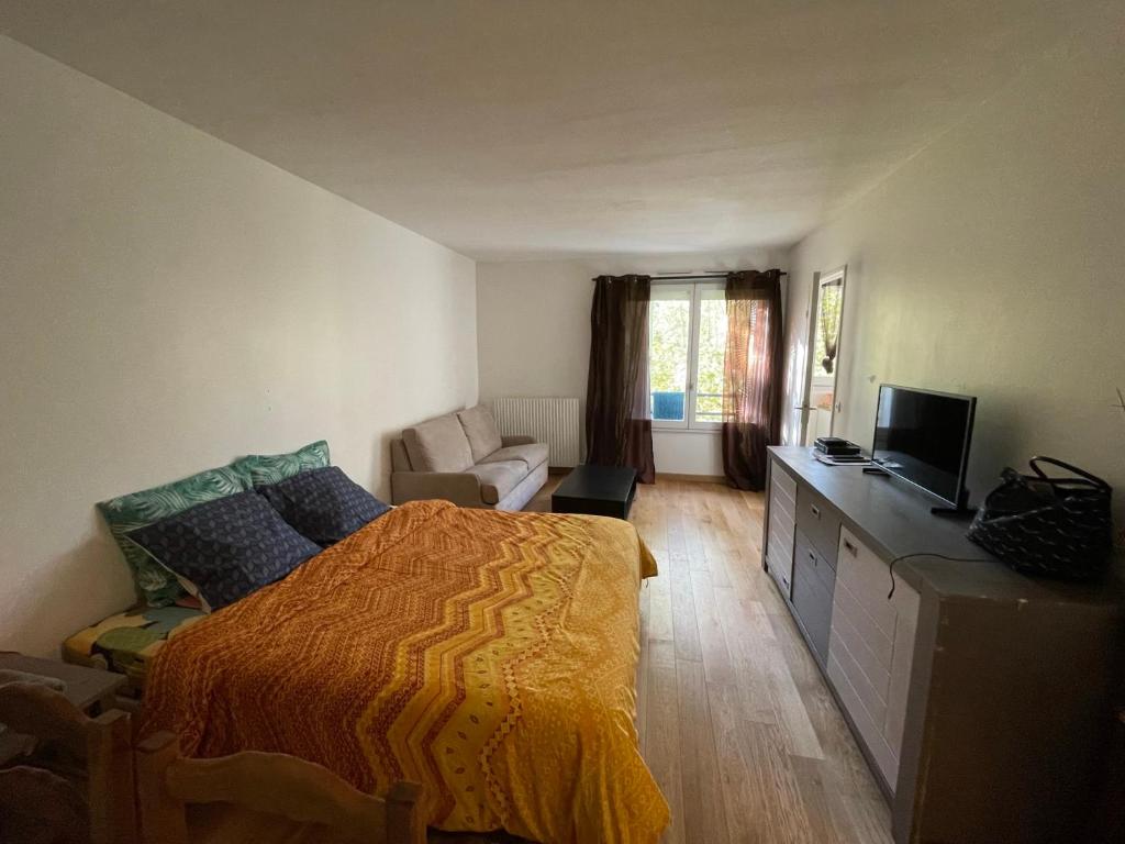 a bedroom with a bed and a television in it at Appartement 35 m2 Créteil l Echat in Créteil