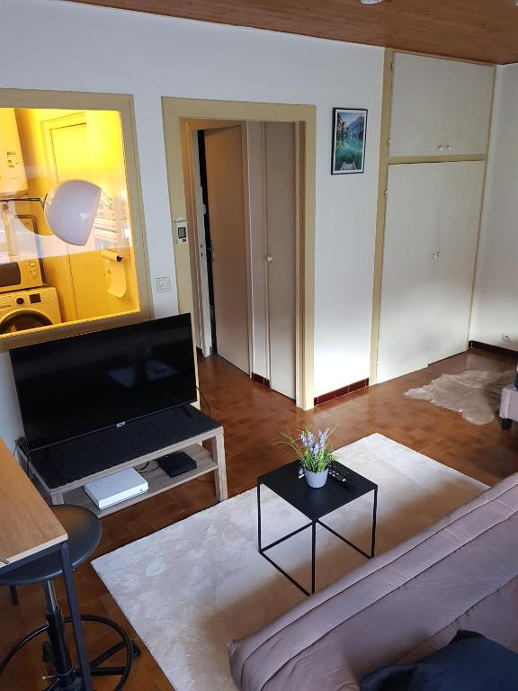 TV a/nebo společenská místnost v ubytování grand studio dans une résidence prive avec une cuisine et salle de bain séparé un parking gratuit et une magnifique vue sur les montagness
