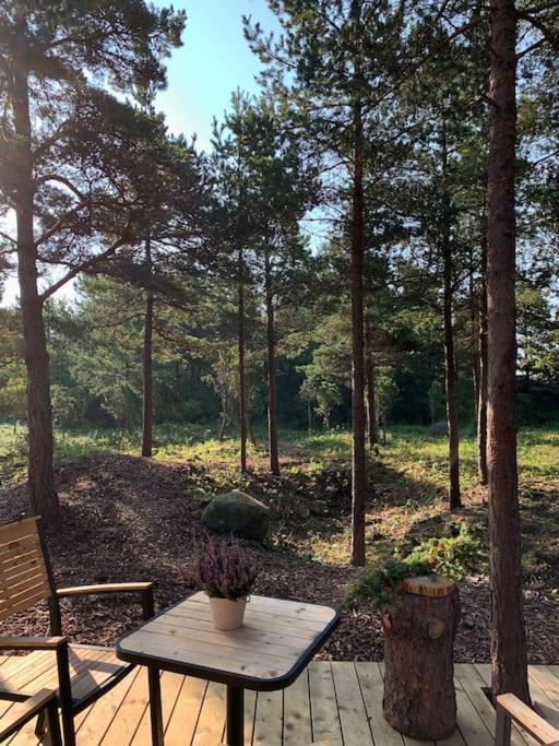 Zahrada ubytování Forest House, Tiidu