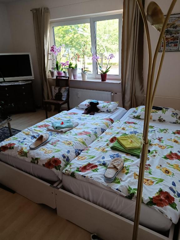 Weltoffenes privates Gästezimmer bei LGBTQ freundlichen Gastgeber der mit in der Wohnung lebt - 4