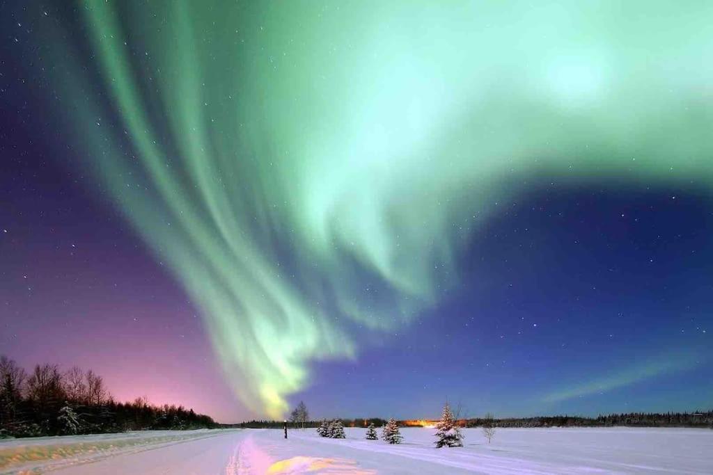 an aurora in the sky over a snow covered field at Stadsnära och naturskön villa med 50m till vatten in Granträsket