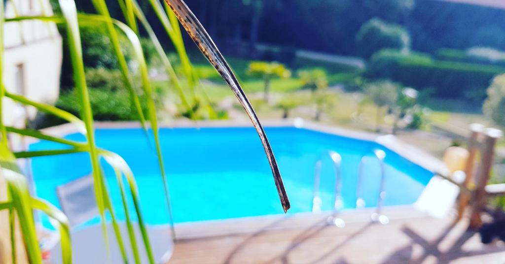 una ventana con vistas a la piscina en Le Vieux Moulin Gites - A charming stone cottage with garden view and seasonal pool, en Guégon