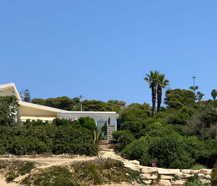 uma casa branca com uma palmeira e arbustos em Montalbano House. Be our guest. em Sciacca
