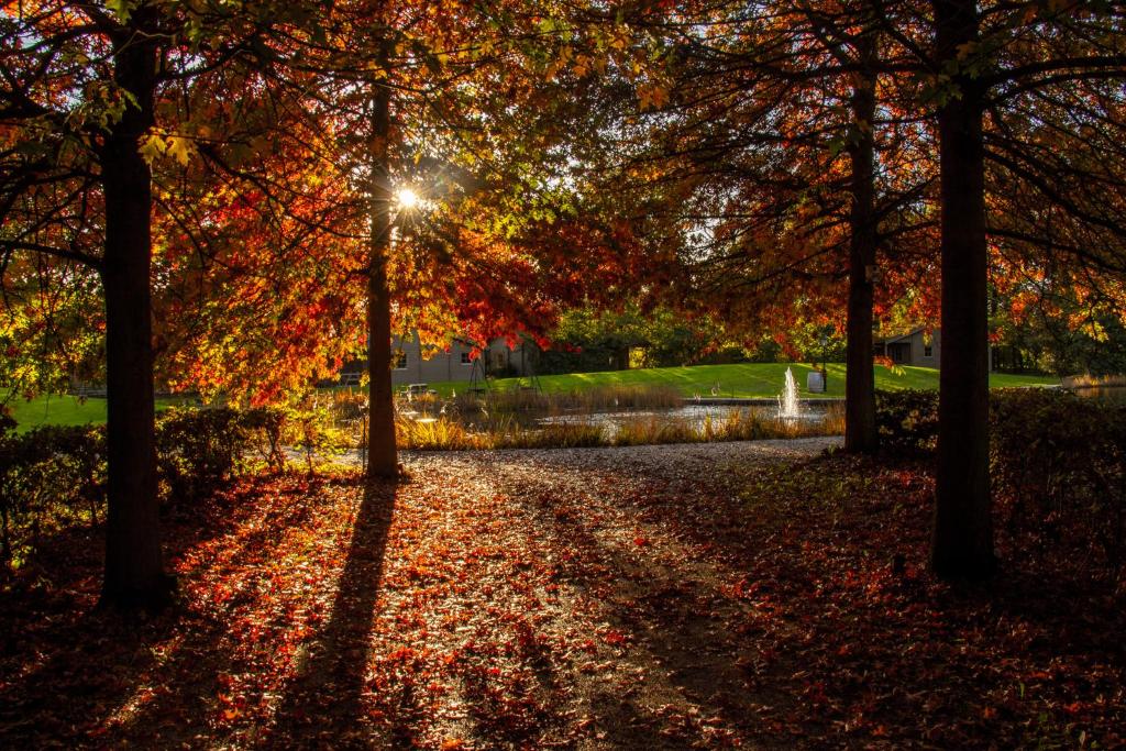 Zahrada ubytování Het Hilkensberg Park