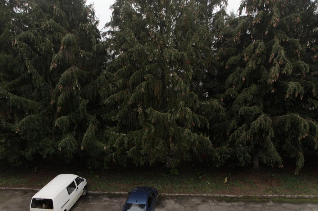Zdjęcie z galerii obiektu Kovács apartman Harkány w mieście Harkány
