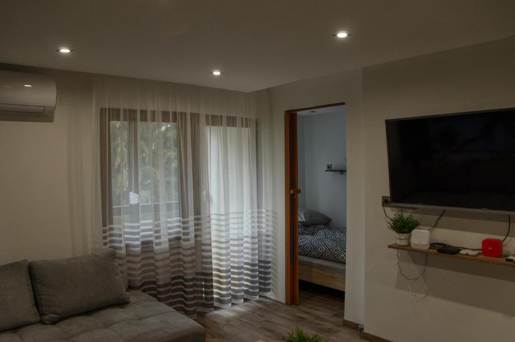 salon z kanapą i telewizorem z płaskim ekranem w obiekcie Kovács apartman Harkány w mieście Harkány
