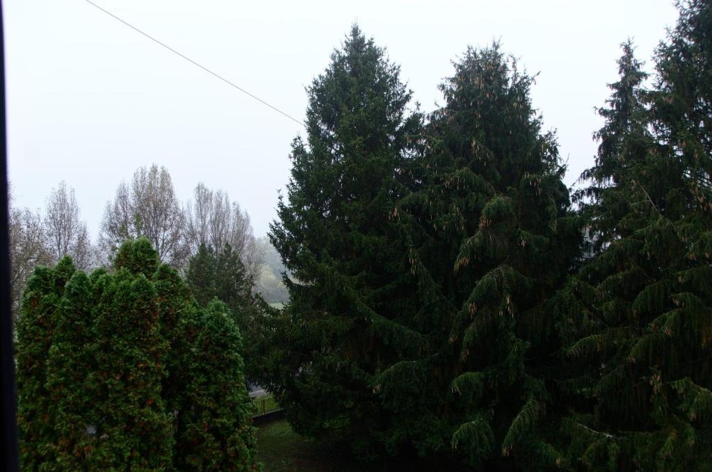 Przyroda w pobliżu tego apartamentu