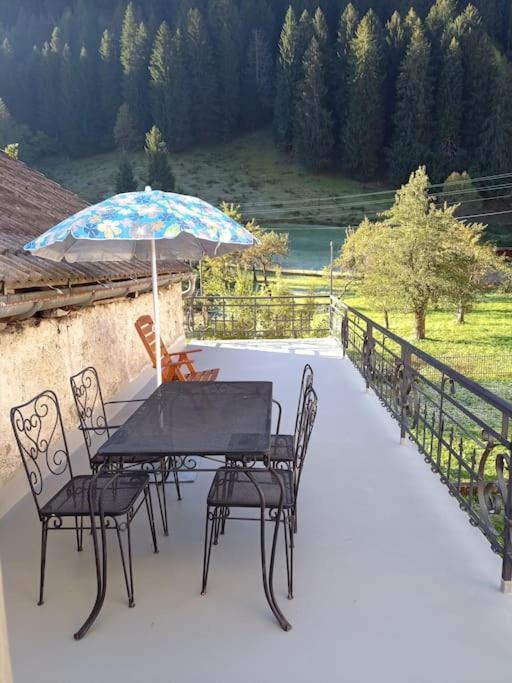 Příroda nedaleko apartmánu