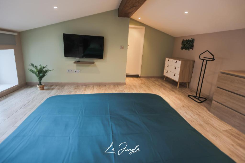 ein Schlafzimmer mit einem großen blauen Bett und einem TV in der Unterkunft LE JUNGLE 5 étoiles / Netflix et services in Saint-Jean-Bonnefonds