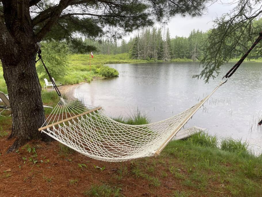 a hammock hanging from a tree next to a lake at Cozy Accessible Waterfront Cottage on Healey Lake in Bracebridge