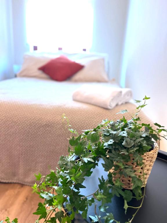 Fotografia z galérie ubytovania Ruben apartament z romantycznym balkonem Toruni
