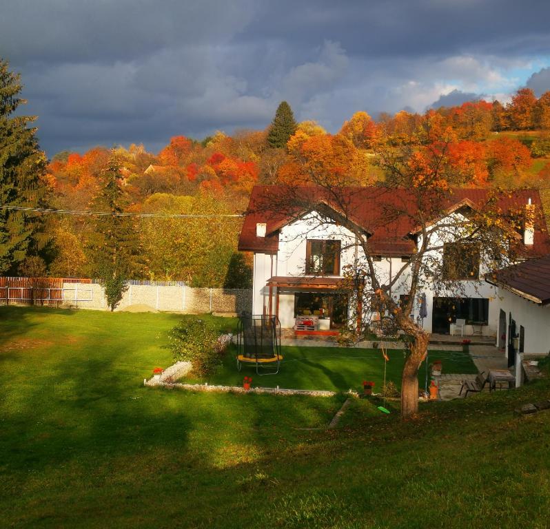 a house with a tree in the yard at Casa din vale in Bran