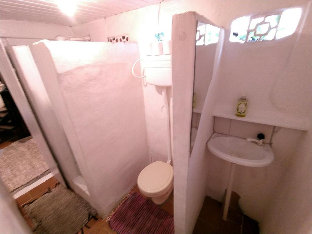 カライーバにあるCasa Praiô Caraívaのトイレと洗面台のある小さなバスルーム