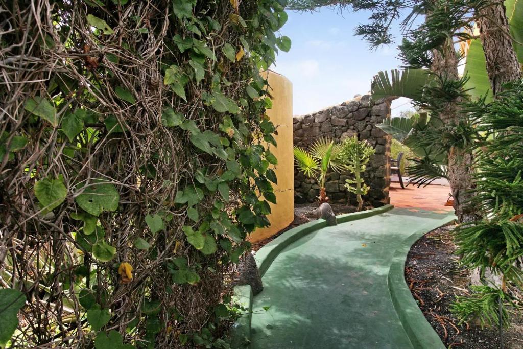 a walkway through a garden with trees and plants at Casa Verde in Teguise
