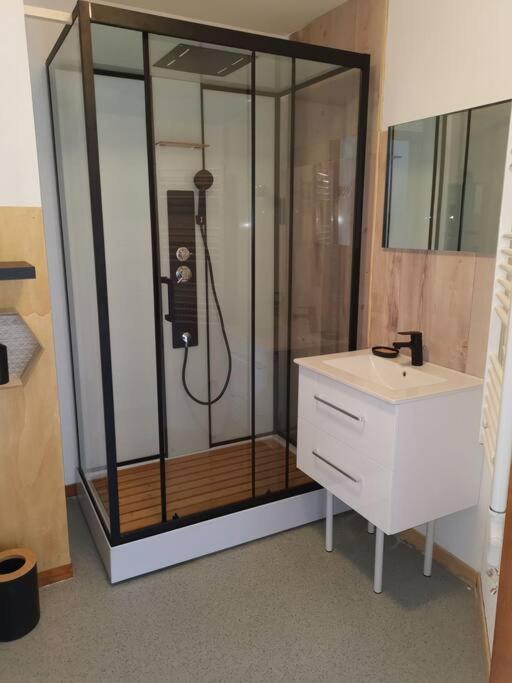 Kúpeľňa v ubytovaní Appartement cosy dans chalet vue Montagne