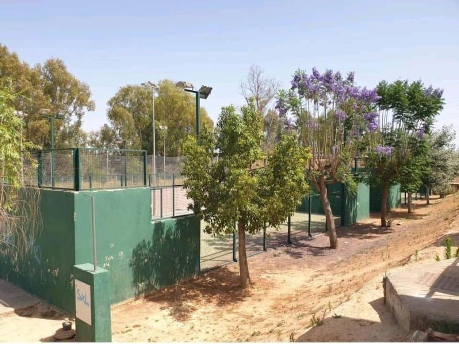 Tenis a/nebo squash v ubytování Alojamiento con piscina y parking en Sevilla nebo okolí