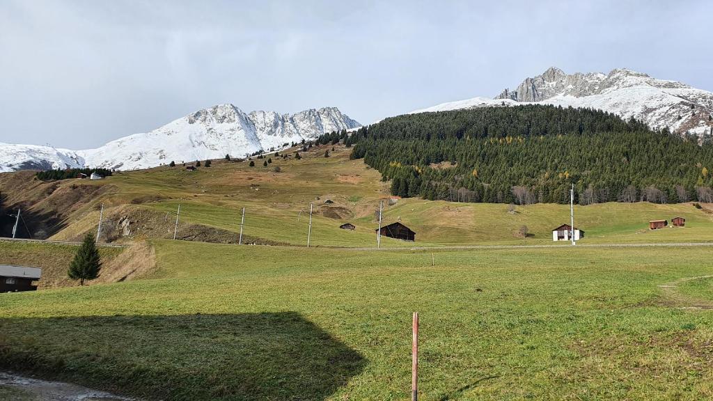 Příroda nedaleko apartmánu