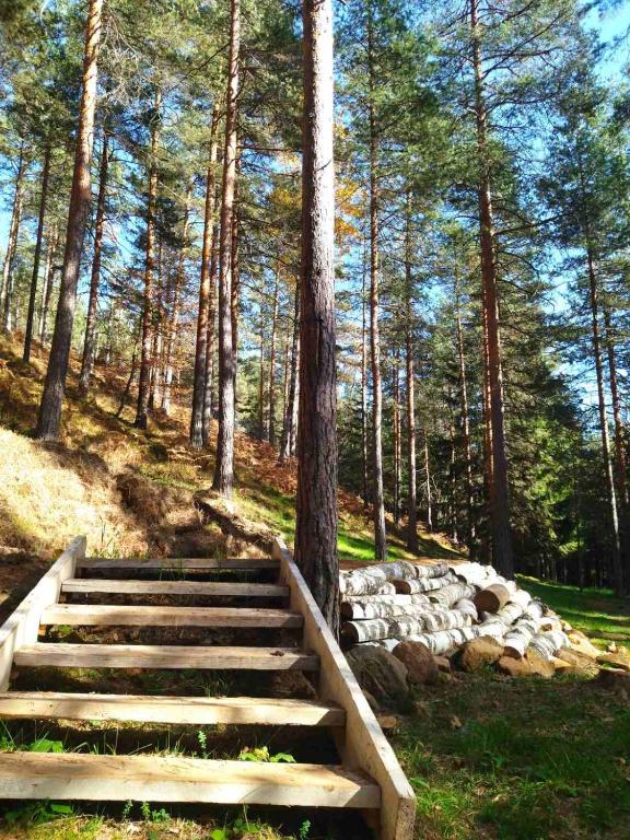 Příroda nedaleko apartmánu