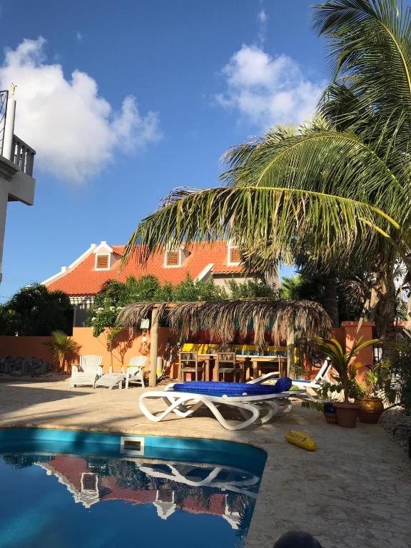 Bazén v ubytování Oasis guesthouse, Boutique Style Hotel nebo v jeho okolí